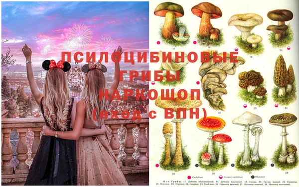 мдма Бородино