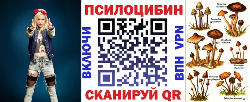 Псилоцибиновые грибы Cubensis  Купить где  Ужур 